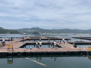 【活動レポート】淡路島(兵庫県)の海上釣り堀に行ってきました。